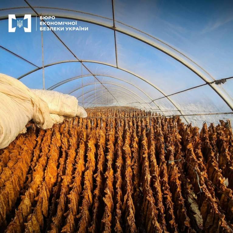 последние новости в Украине останні новини в Україні